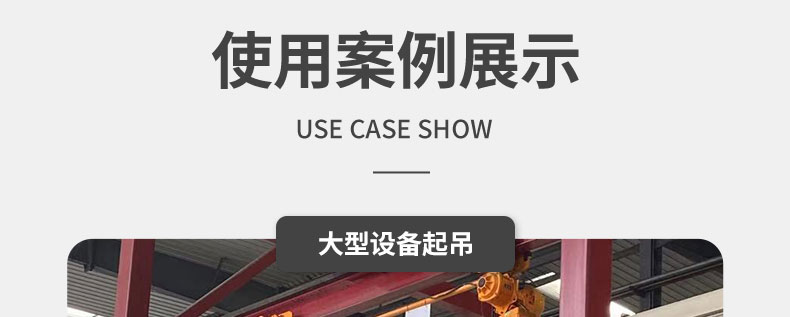 双吊点电动葫芦